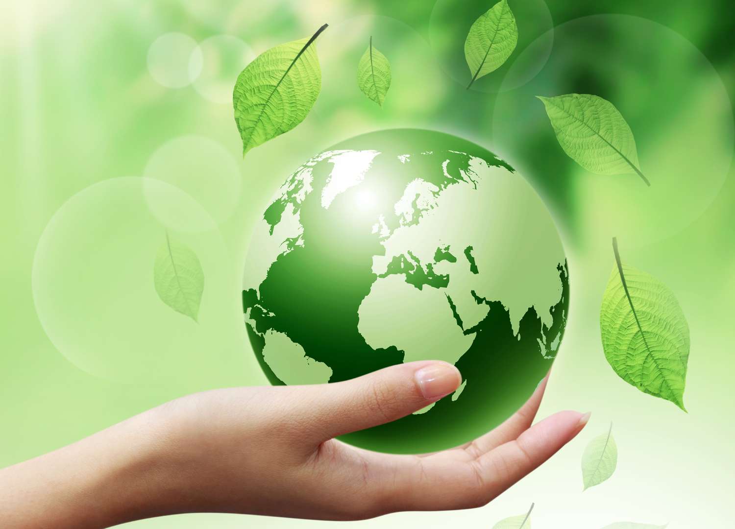 Eco-Friendly Solutions